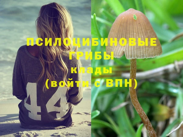 прущая мука Арсеньев